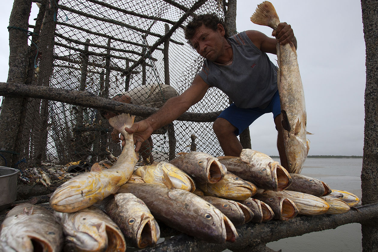 Pesca em Romana  /  Foto Paulo Santos
