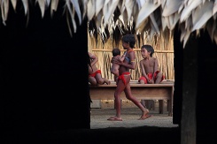 Território Yanomami / Fotografia de Odair Leal. Representantes das 37 regiões da Terra Indígena Yanomami discutiram plano para o futuro, firmaram pacto contra mineração e elegeram nova diretoria em meio aos festejos que incluíram cantos, danças e diálogos cerimoniais Entre os dias 15 e 20 de outubro mais de 700 representantes yanomami reuniram-se na aldeia Watoriki (Demini), no Amazonas, na VII Assembleia Geral da Hutukara Associação Yanomami (HAY) que teve como tema os 20 anos da homologação da Terra Indígena Yanomami. FOTO: ODAIR LEAL